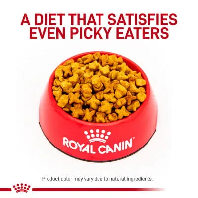is l carnitine safe for dogs News: Latest about Our Company and Products main image 1