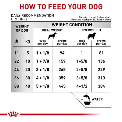 best merrick brand dog food for sensitive stomachs Merrick Grain Free Real Salmon & Sweet Potato Dry Dog Food 22-lb