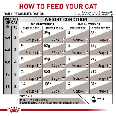 Royal Canin Gastro Intestinal Fibre Response – 12 X 85 G Natvoer Voor Katten, Dieetvoeding Bij Chronische Constipatie, Met Psyllium En Prebiotica, Op Advies Van De Dierenarts