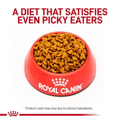 Royal Canin Veterinary Diet Adult Gastrointestinal Fiber Response Dry Cat  Food | Shop myVCA