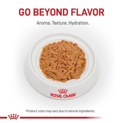 Royal Canin Veterinary Diet Kitten Gastrointestinal Ultra Soft Mousse in  Sauce Canned Wet Cat Food | Shop myVCA