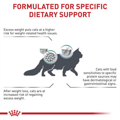 l carnitine for cat weight loss Tiki Cat Luau Lean Gelee Chicken Grain-Free Wet Food For Cats main image 1