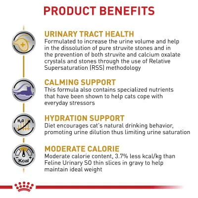 l carnitine benefits for cats L-Carnitine for Cats: Why Energy Drops, How Fat Metabolism Stalls, and How  to Protect Heart Function – La Petite Labs main image 0