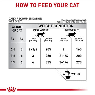best royal canin cat food Royal Canin Feline Health Nutrition Aging 11+ Ultra Soft Mousse in Sauce Senior Wet Cat Food, 5.1-oz can, Case of 24