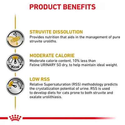 are elevated food bowls good for cats 2-in-1 Cat Raised Feeder