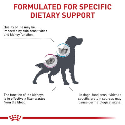 Royal Canin Veterinary Diet Adult Canine Multifunction Renal