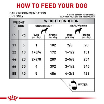 Royal Canin Veterinary Diet Adult Canine Multifunction Renal