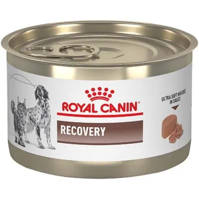 Royal Canin Veterinary Diet Adult Recovery Ultra Soft Mousse in