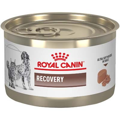 Royal Canin Veterinary Diet Adult Recovery Ultra Soft Mousse in