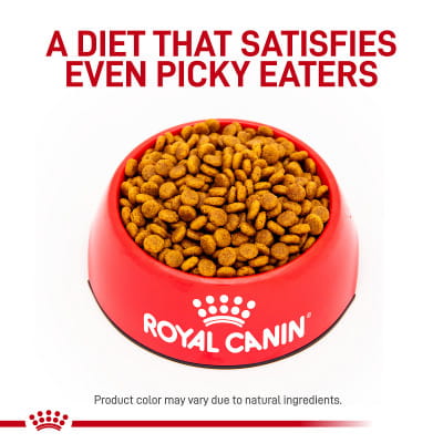 Royal Canin Veterinary Diet Adult Renal Support F Dry Dog Food