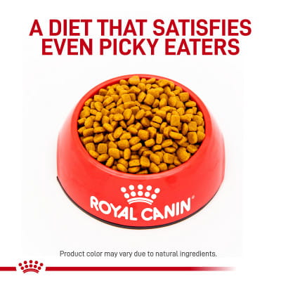 Royal Canin Veterinary Diet Adult Renal Support S Dry Cat Food