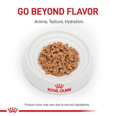 Royal Canin Veterinary Diet Adult Renal Support T Thin Slices in