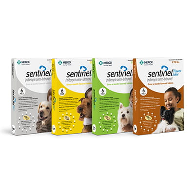 Sentinel® Flavor Tabs® Shop myVCA