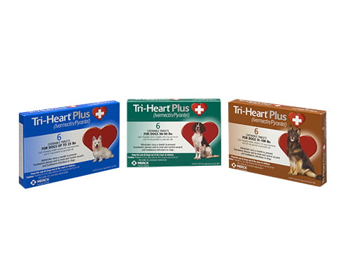 Tri-Heart® Plus | Shop myVCA