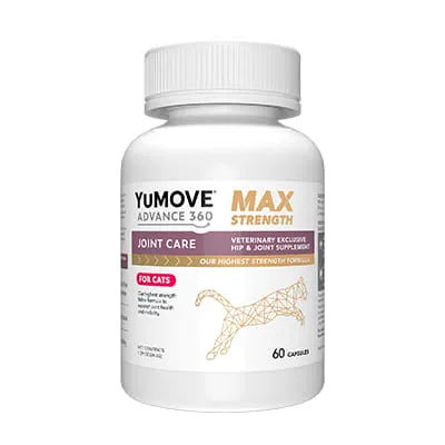 https://vcahospitals.com/-/media/2/project/vca/shop/product-images/y/yumove-advance-360-max-strength-sprinkle-capsules-for-cats/9b169026ea/9b169026ea_small.jpg?rev=c572656588704862ab51de7837c584e3&extension=webp