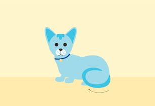 SOL_NL16_A7_K_BodyWrap