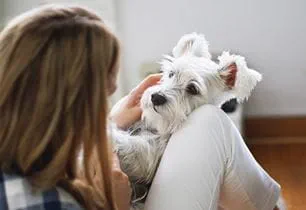 puppy dermatitis