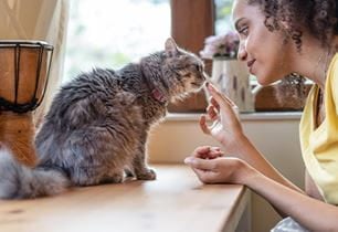 growing kitten health