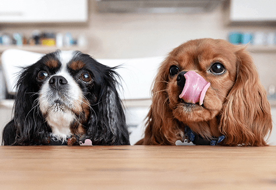 Good feeding habits to get into