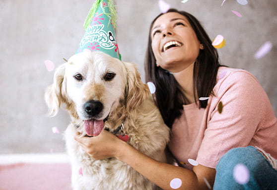 Happy first birthday!