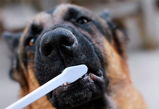 Keep up on brushing teeth!