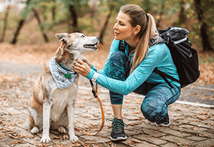 puppy hiking