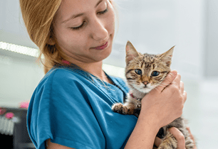 veterinary care