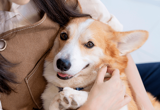 How well do you know your puppy?