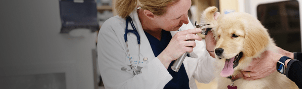 CareClub asset 610x180