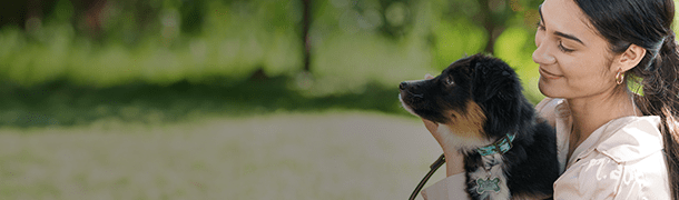 LiveChat asset 610x180