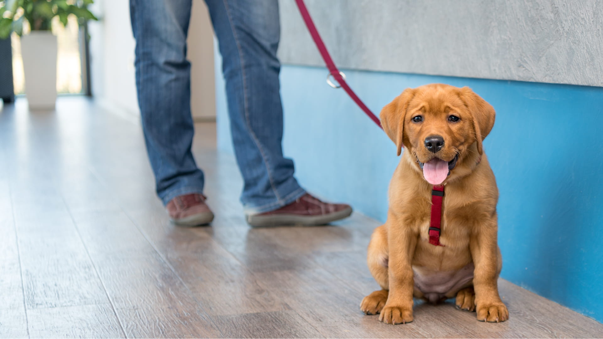 VCA UC about tour 1920x1080 Opt2