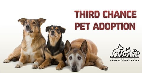 third chance pet adoption