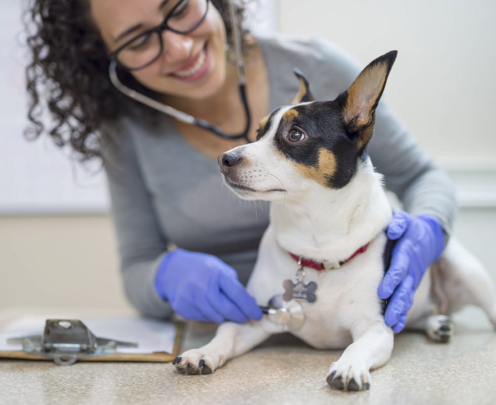 980x800 YourFirstVisit FirstVisit