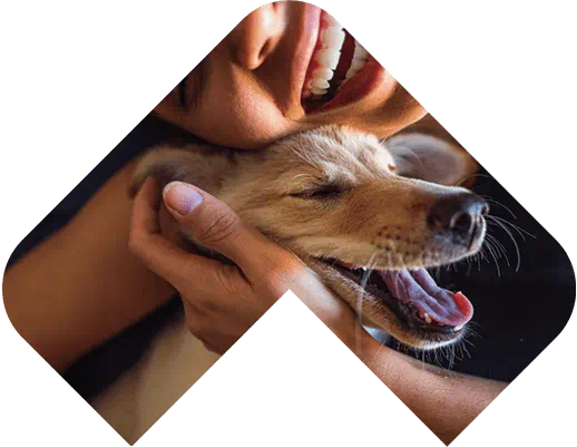 VCA McKenzie Animal Hospital photo 11