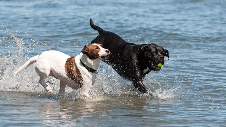 720x405 CommunityPartners Option14