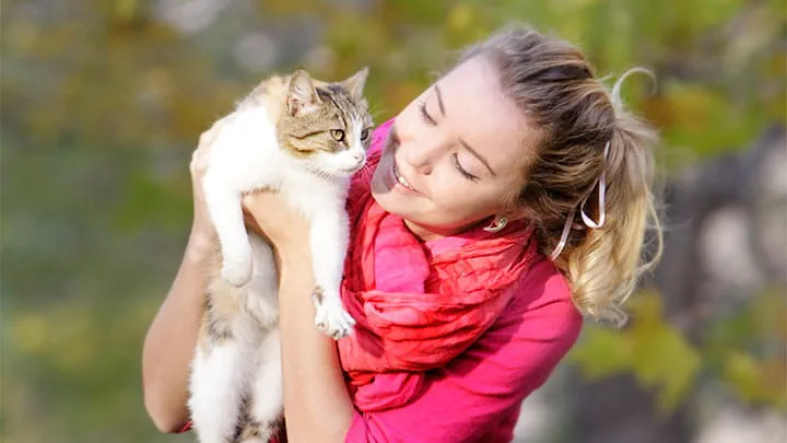 General Surgery Services in Oroville, CA - VCA Animal Hospitals — General Surgery clinic in Oroville, CA — photo 6