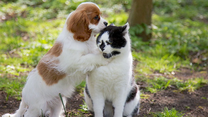 720x405 CommunityPartners Option30