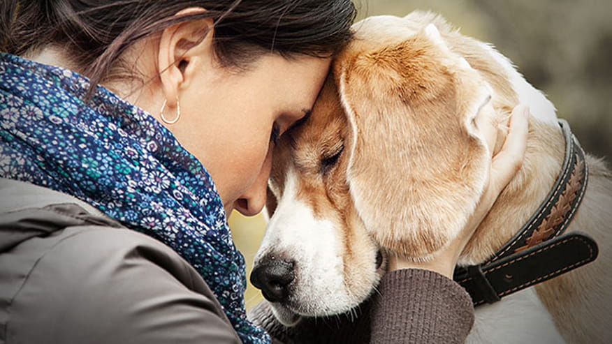 876x493 Departments Counseling2