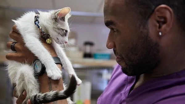Vca Animal Hospitals Urgent Care - Mar Vista
