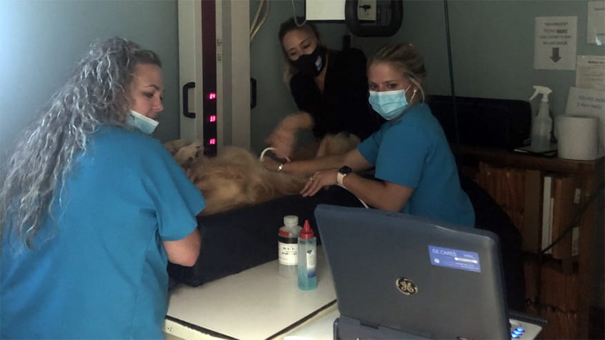 VCA Becker Ultrasound Services