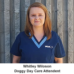 Whitley Wiloson