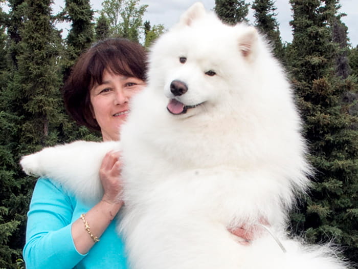 VCA East Anchorage Animal Hospital Staff Page