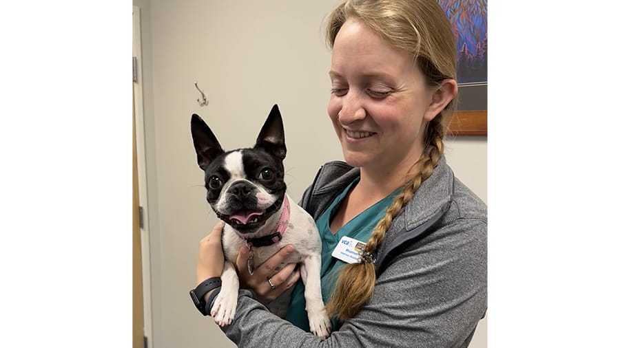 VCA Far Country associate holding a dog