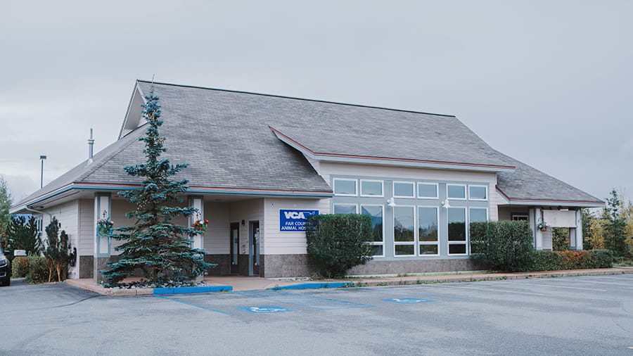 VCA Far Country Animal Hospital in Palmer, Alaska