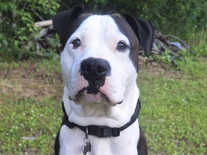 Amanda B. Staff Photo