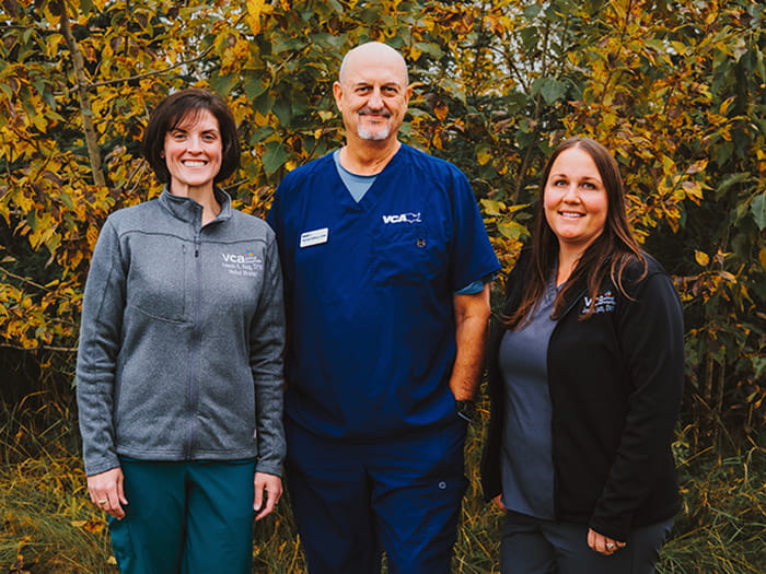 VCA Far Country Animal Hospital Veterinarian Team