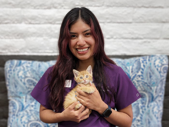 Aleeo Alee O. | VCA Mesa Animal Hospital