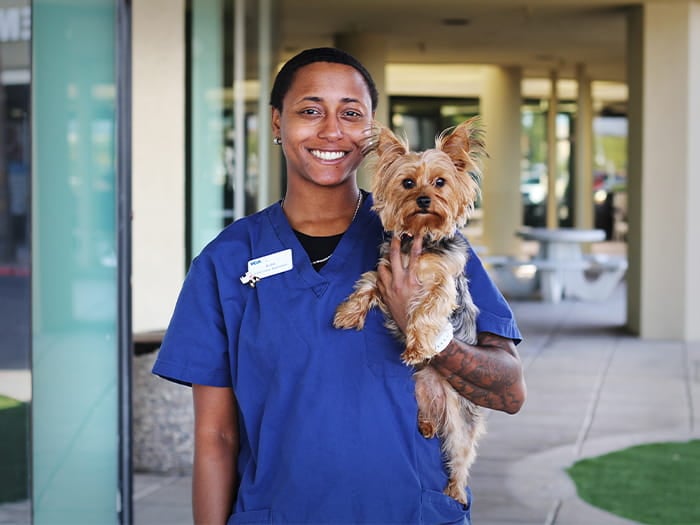 Tri-City Small Animal Clinic: Trusted Care for Your Pets