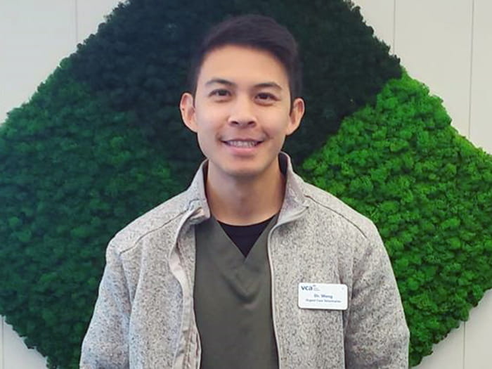 Dr. Joe Wong Staff Photo