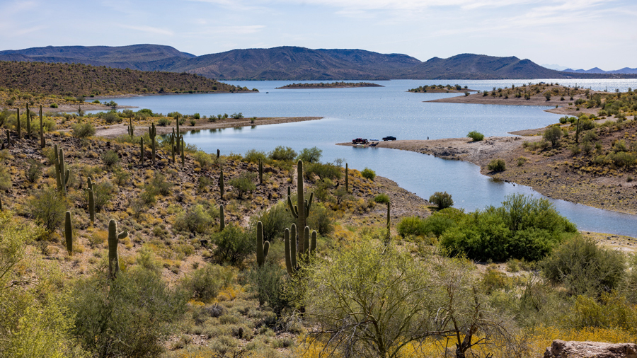 A landscape with water and cactus in Peoria, Arizona